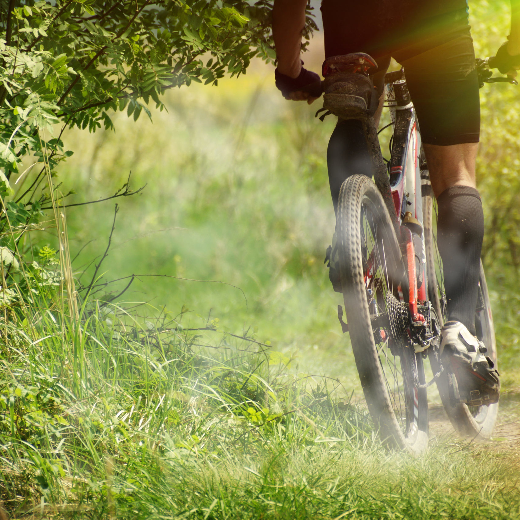Redtorch becoming carbon neutral