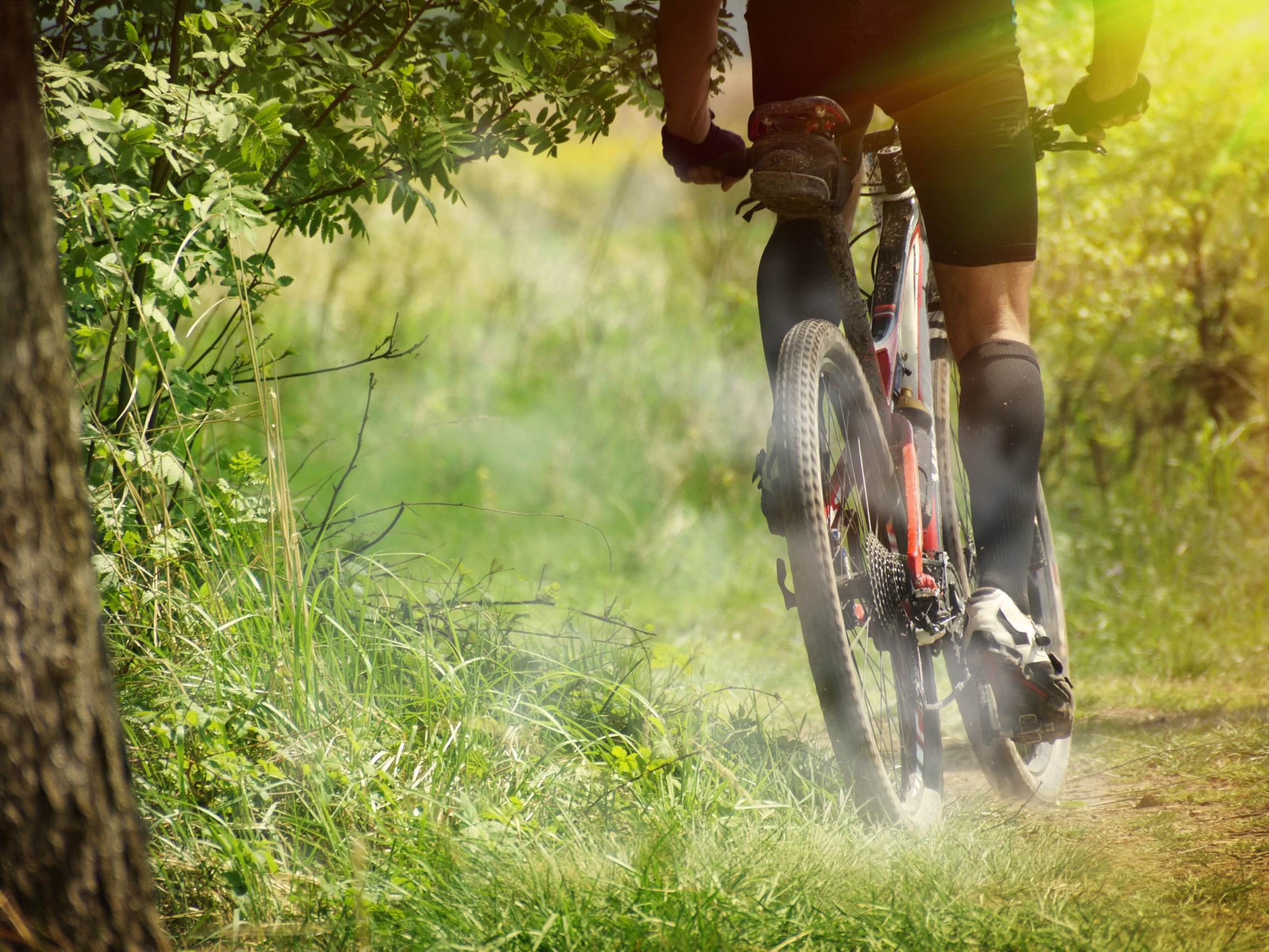 Redtorch becoming carbon neutral