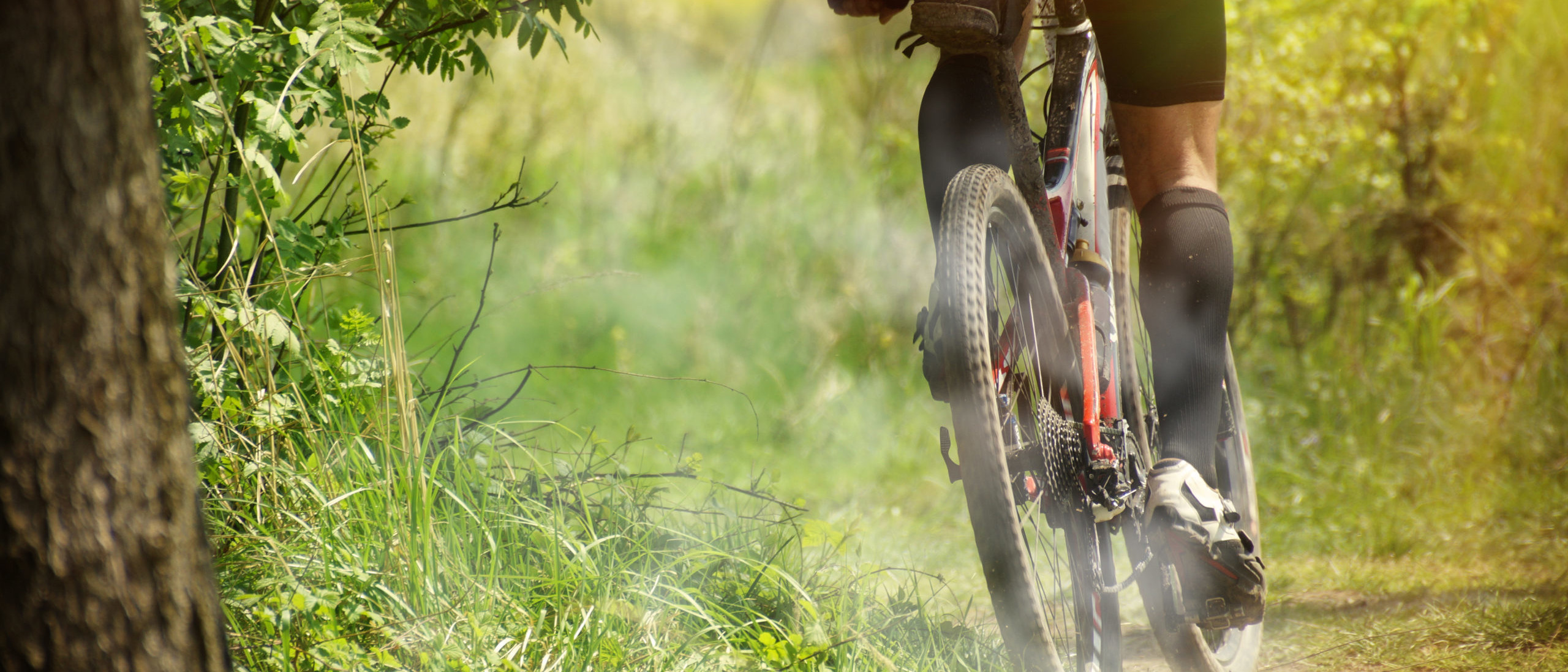 Redtorch becoming carbon neutral