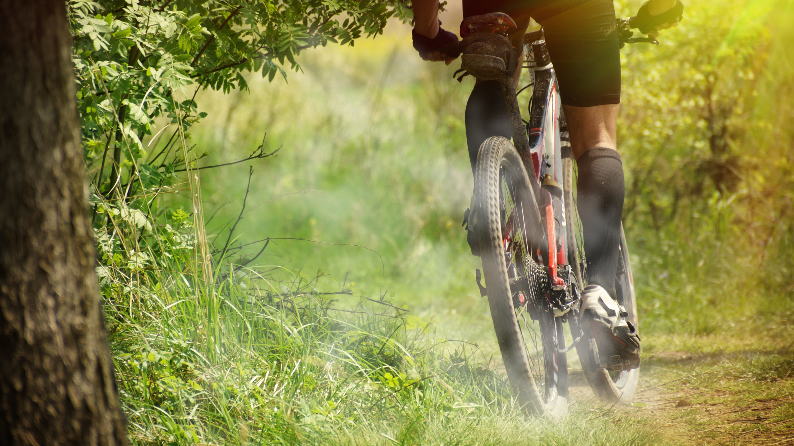 Redtorch becoming carbon neutral