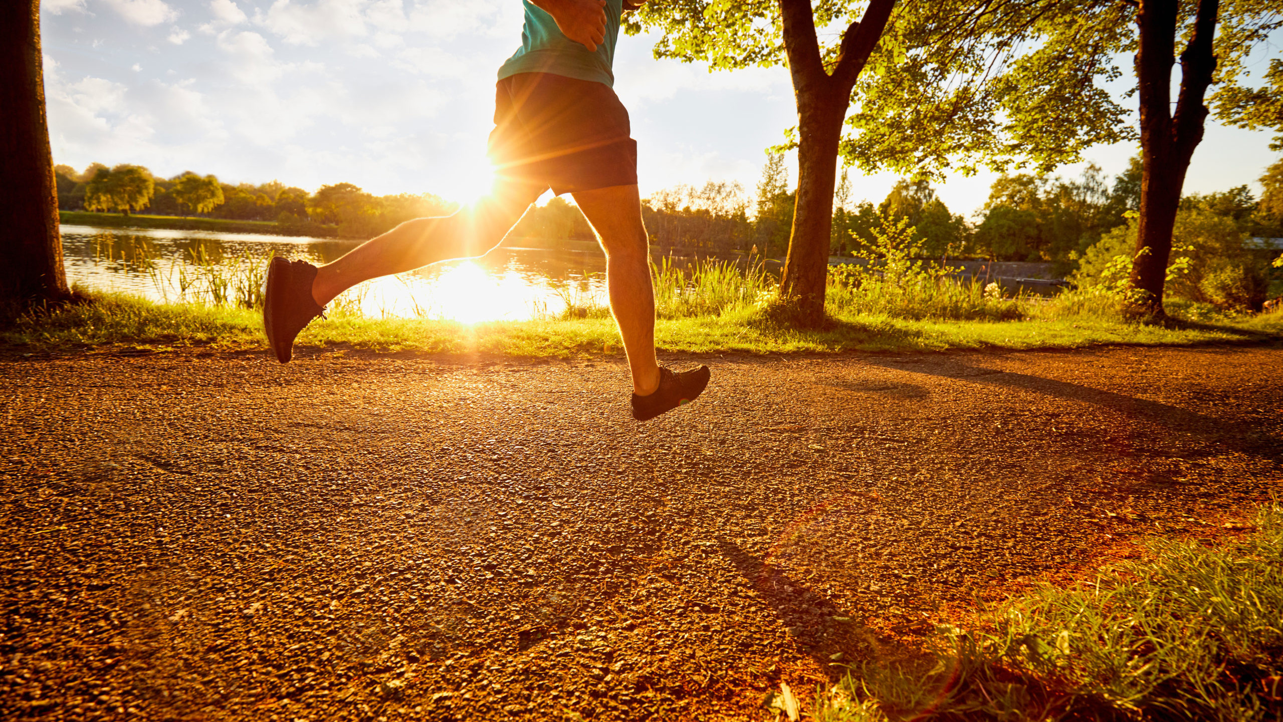 Redtorch take sustainable leap