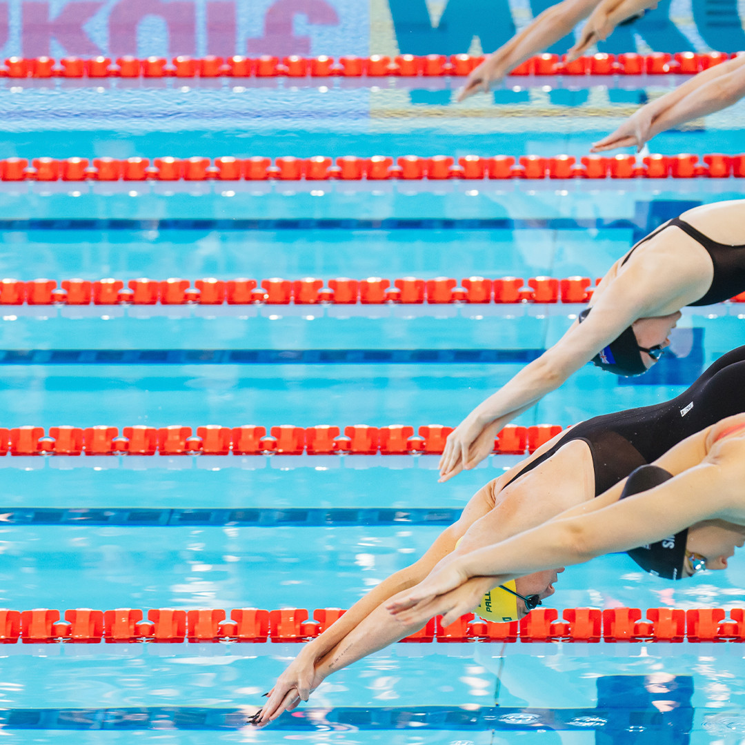 Action shot of swimmers diving in the pool