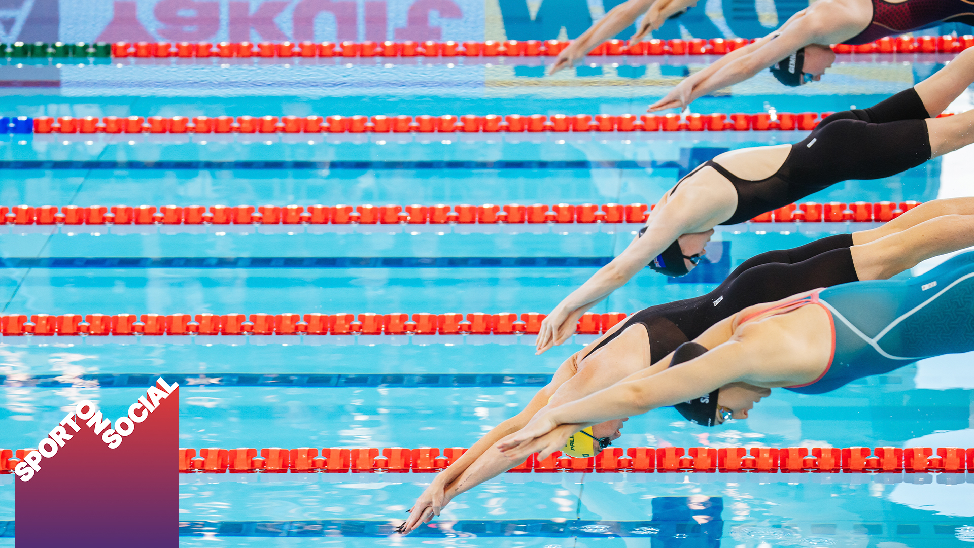Action shot of swimmers diving in the pool