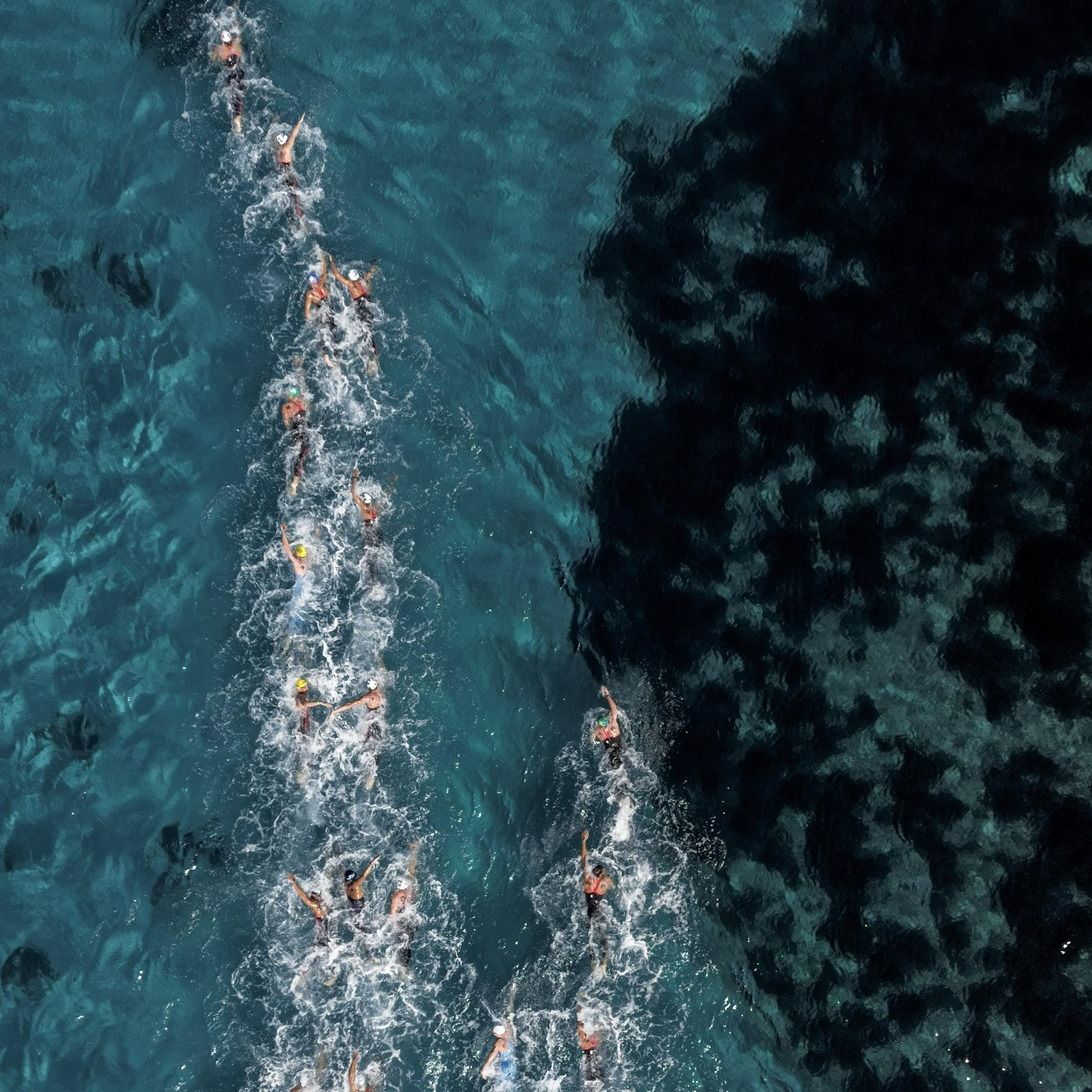 Overhead shot of a large group of swimmers in open water