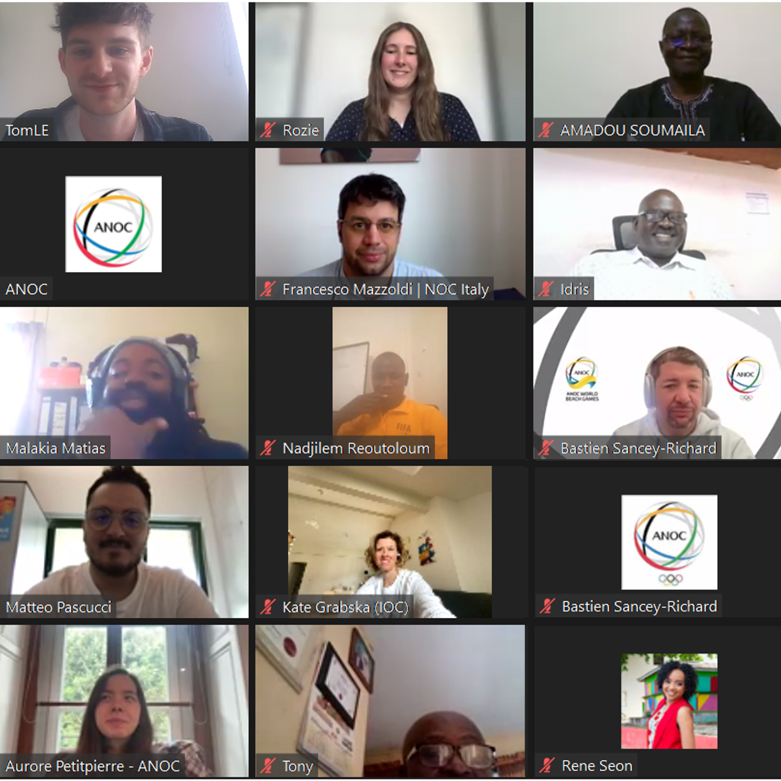 Screenshot of ANOC workshop attendees on online call