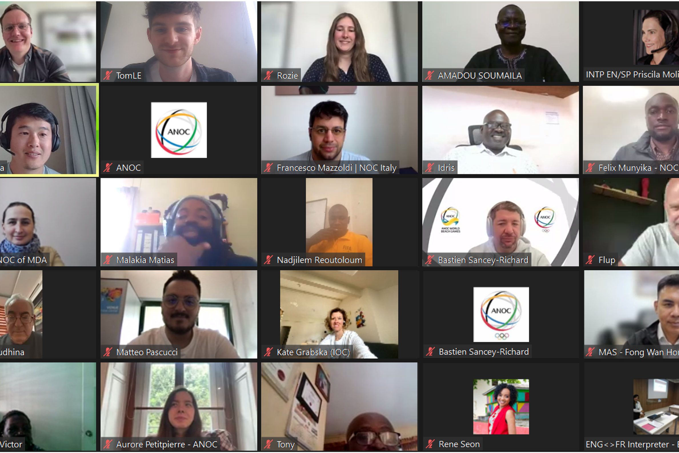 Screenshot of ANOC workshop attendees on online call