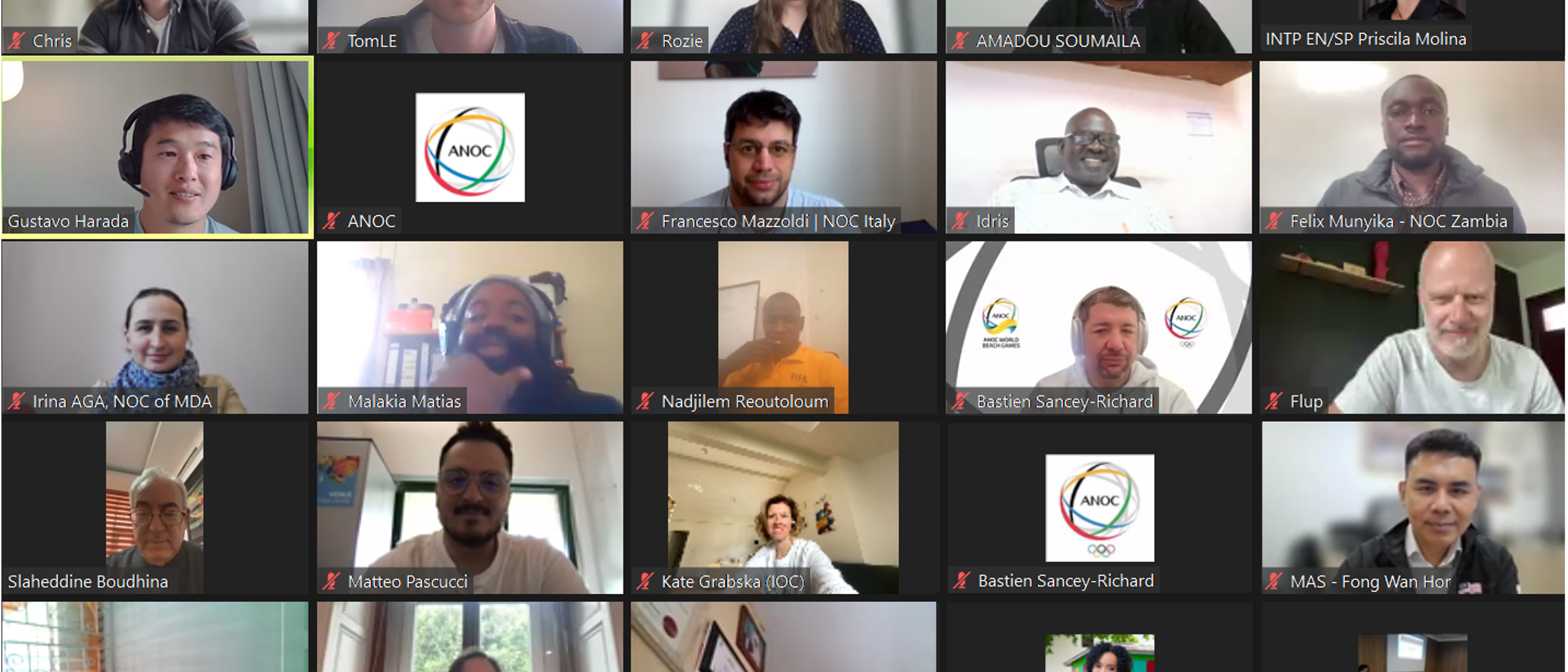 Screenshot of ANOC workshop attendees on online call