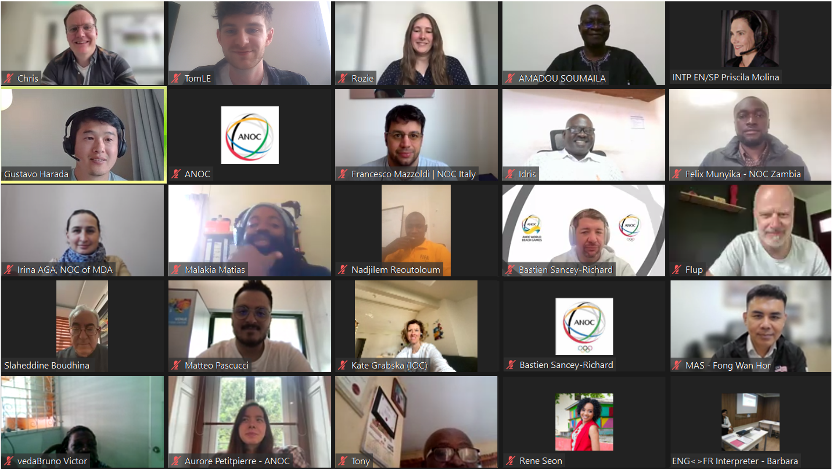 Screenshot of ANOC workshop attendees on online call