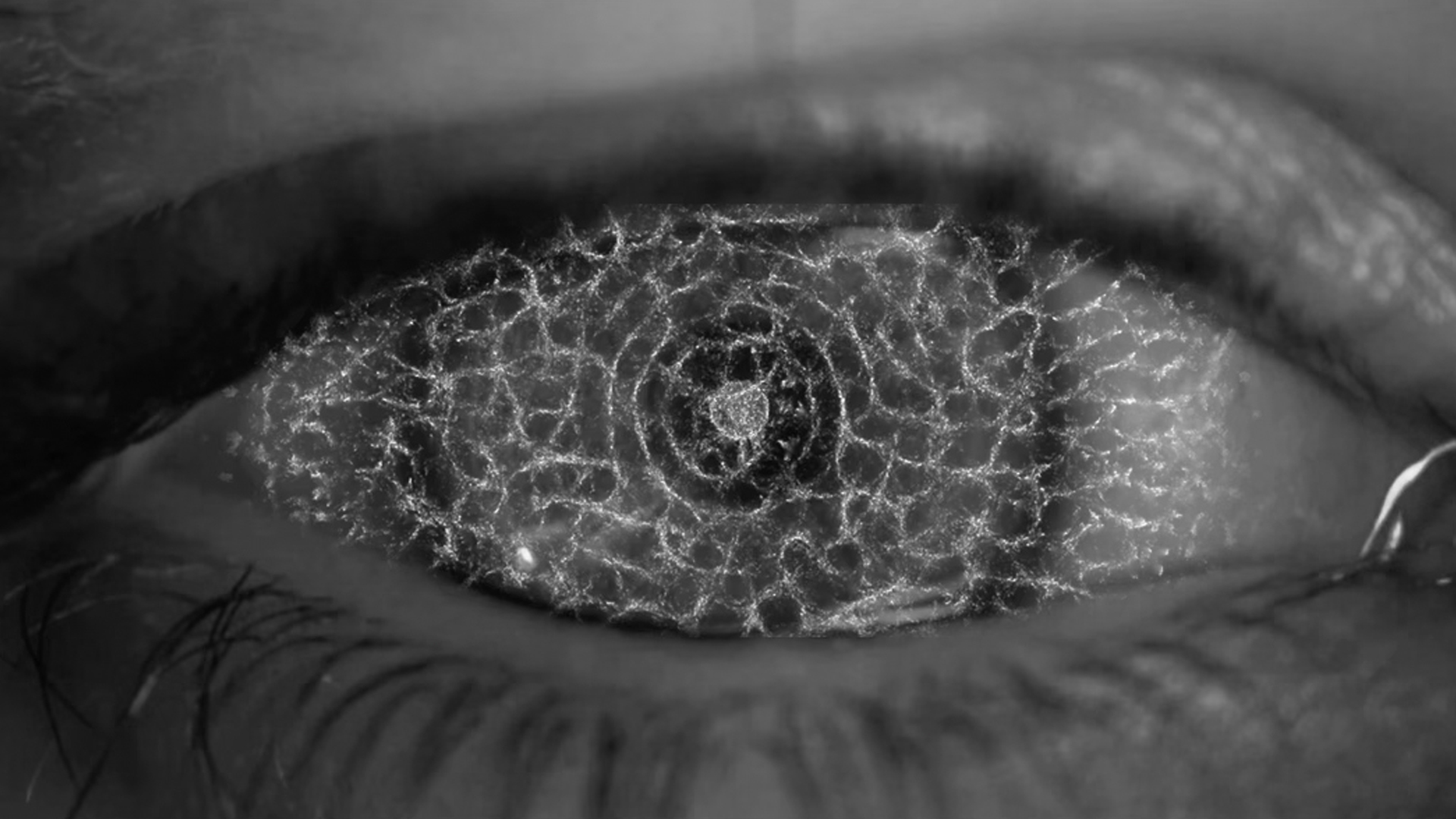 Black and white image, close up of an eye